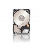 Seagate Constellation .2