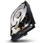 Seagate S-series Terascale 4TB