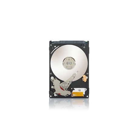 seagate-video-2-5-hdds-320gb-1.jpg