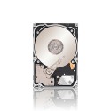 Seagate Constellation .2