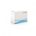 Xerox IBT Cleaner Unit