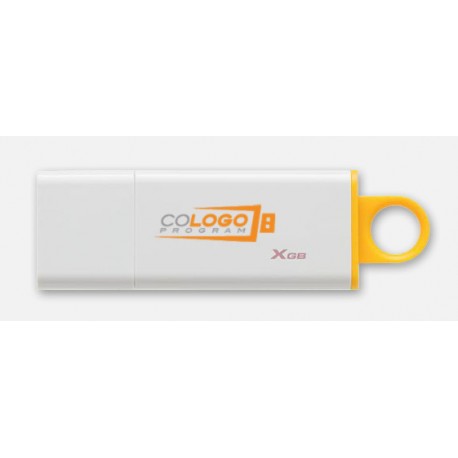 kingston-technology-datatraveler-g4-8gb-usb-3-1.jpg