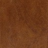 acco-kensington-funda-rigida-de-piel-iphone-5-accs-7.jpg