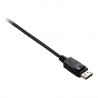 v7-displayport-displayport-2m-1.jpg