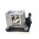V7 Lamp 300w Oem Vlt-xd2000lp Accs