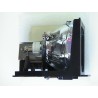 v7-lamp-150w-oem-lmp21j-accs-4.jpg