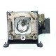 V7 Lamp 250w Oem L1709a Accs