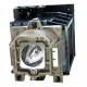 V7 Lamp 250w Oem 59.j0c01.cg1 Accs