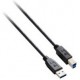 V7 Cable USB 3.0 de a B (m/m), negro 1,8 m