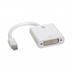 V7 Adapter Mini Dp To Dvi Cabl