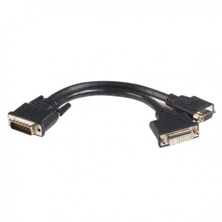 startech-com-cable-adaptador-de-20cm-lfh59-dms59-a-dvi-d-y-v-1.jpg