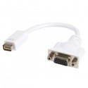 StarTech.com Adaptador Conversor Mini DVI a VGA - Macho Hemb