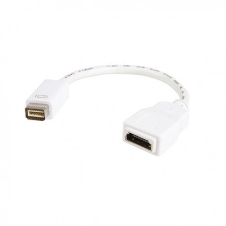 startech-com-adaptador-hdmi-a-mini-dvi-hembra-macho-dvi-1.jpg