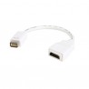 startech-com-adaptador-hdmi-hembra-a-mini-cabl-1.jpg