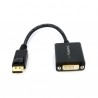 startech-com-adaptador-de-video-displayport-a-dvi-converso-1.jpg