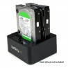 startech-com-base-conexion-estacion-docking-duplicador-clona-4.jpg