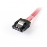 startech-com-cable-adaptador-de-50cm-mini-sas-serial-attache-3.jpg