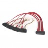 startech-com-50cm-sff-8484-32-pin-to-sff-8482-22pin-sas-1.jpg