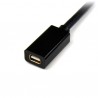 startech-com-cable-de-91cm-extensor-alargador-mini-displaypo-2.jpg