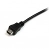 startech-com-cable-30cm-usb-a-mini-usb-cabl-3.jpg