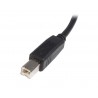 startech-com-cable-usb-de-2m-para-impresora-cabl-3.jpg