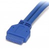 startech-com-cable-50cm-adaptador-placa-basecabl-2.jpg