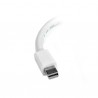 startech-com-adaptador-mini-displayport-a-perp-3.jpg