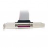 startech-com-tarjeta-adaptadora-pci-de-2-puertos-serie-db9-u-2.jpg