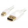 startech-com-cable-1m-mini-displayport-a-cabl-1.jpg