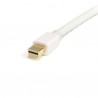 startech-com-cable-1m-mini-displayport-a-cabl-2.jpg