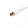 startech-com-cable-de-2m-mini-displayport-cabl-2.jpg