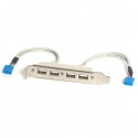 StarTech.com Cabezal Bracket de 4 puertos USB 2.0 con Conexi