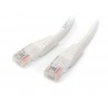startech-com-cable-de-red-ethernet-15m-utp-patch-cat5e-cat-5-1.jpg