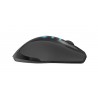 gigabyte-eco600-raton-4.jpg