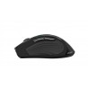 gigabyte-eco600-raton-5.jpg