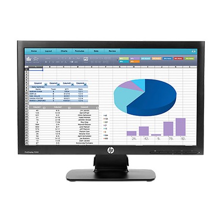 hp-p202-20in-analog-dp-tco-mntr-1.jpg