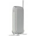 Netgear WN604