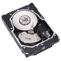 Netgear 1 x 300GB 15K SAS 3.5"