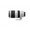 canon-ef-100-400mm-accs-3.jpg