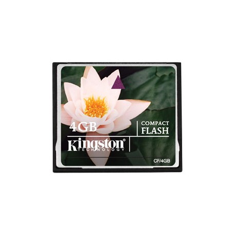 kingston-technology-4gb-cf-card-1.jpg