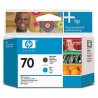 hp-70-matte-black-and-cyan-printhead-1.jpg
