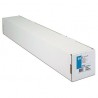 brand-management-group-hp-collector-satin-canvas-supl-1.jpg
