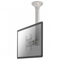 Newstar FPMA-C200 soporte de techo para pantalla plana