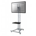 Newstar Soporte de suelo móvil LCD/LED/Plasma