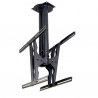 newstar-computer-products-europa-lcd-plasma-tv-ceiling-mount-ce-3.jpg
