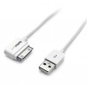 startech-com-cable-cargador-50cm-conector-dock-connector-de-4.jpg