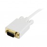 startech-com-cable-3m-adaptador-activo-cabl-3.jpg