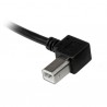 startech-com-cable-usb-1m-impresora-usb-a-cabl-4.jpg