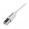 startech-com-cable-3m-usb-a-a-b-adaptador-decabl-4.jpg