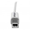 startech-com-cable-adaptador-usb-2-de-3m-para-impresora-5.jpg